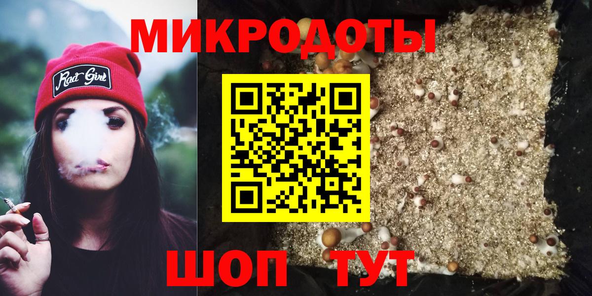 Галлюциногенные грибы Psilocybe Нижнекамск