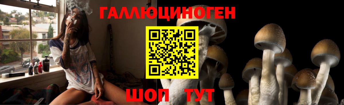 Нижнекамск  купить  цена  Вход с VPN  Псилоцибиновые грибы Magic Shrooms 